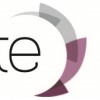 Witte Physical Therapy