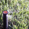 To The Drop Irrigation