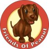 Friends Of Peanut Dog Boarding