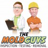 The Mold Guys