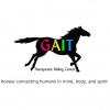 Gait