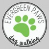 Evergreen Paws