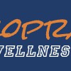 Chiropractic Wellness Center Of Wyckoff