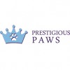 Prestigious Paws