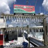Fish Witch Charters