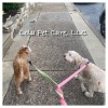 Lola Pet Care
