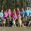 All Breed Care