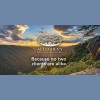 Allegheny Insurance Services