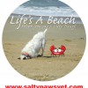 Salty Paws Veterinary Hospital