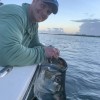 Tarpon Diem