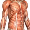 Medical Massage Therapy Clinic