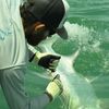 Loaded Down Sport Fishing