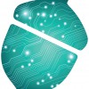Cybernut Solutions