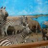 Touchstone Wildlife & Art Museum
