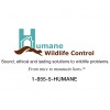 Humane Wildlife Control