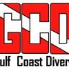 Gulf Coast Webdesign Servicece