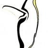Farber Swim School