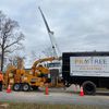 Protree Service