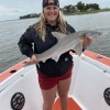 Mad Shark Charters