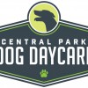 Central Park Dog Day Care