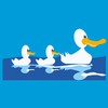 Ducky Pond Pre-School