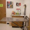The Well Pet Clinic