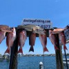 Destin Go Fishing