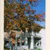Delaware Chiropractic