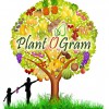 Plant-O-Gram