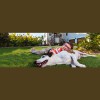 Fairway Lawns