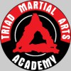 Triad Martial Arts