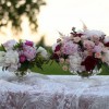 Ovans Peony Farm