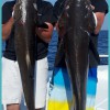 Perdido Key Fishing Charters