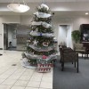 South Texas Federal Credit Union