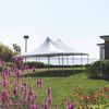 McBurnie Tent Rental