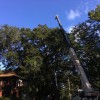Miller's Tree Service