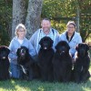 Winding Creek Kennels