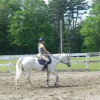 Canton Equestrian Center