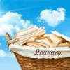 Your Laundry Concierge