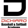 DiChiaro Baseball & Softball Academy