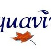 Aquaviva Pool Cleaning