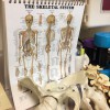 Matin Chiropractic Group