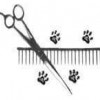 Just Four Paws Academy Of Pet Styling