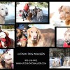 Hudson Dog Walker