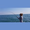 Bays Edge Bait & Tackle