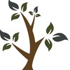 Holistic Consultation