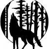 Wolf Hollow Wildlife Rehab Center