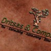 Dritsas