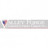Valley Forge Consulting