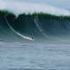 Freeline Surf Shop